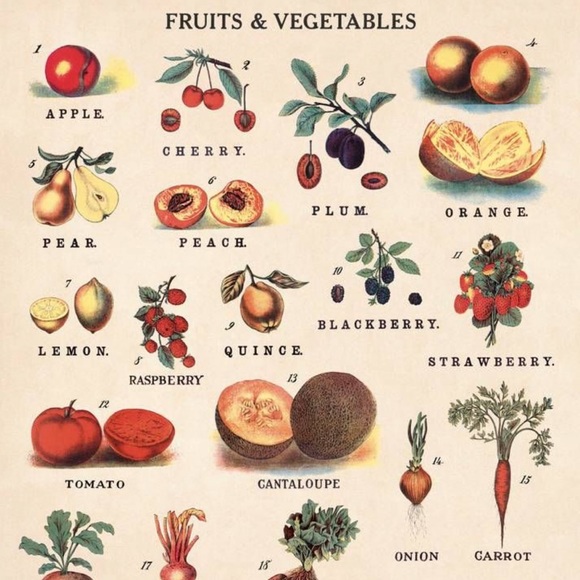Cavallini & Co. Fruits & Vegetables Vintage Image Chart, 20” x 28” Inch - NWT - Picture 2 of 7